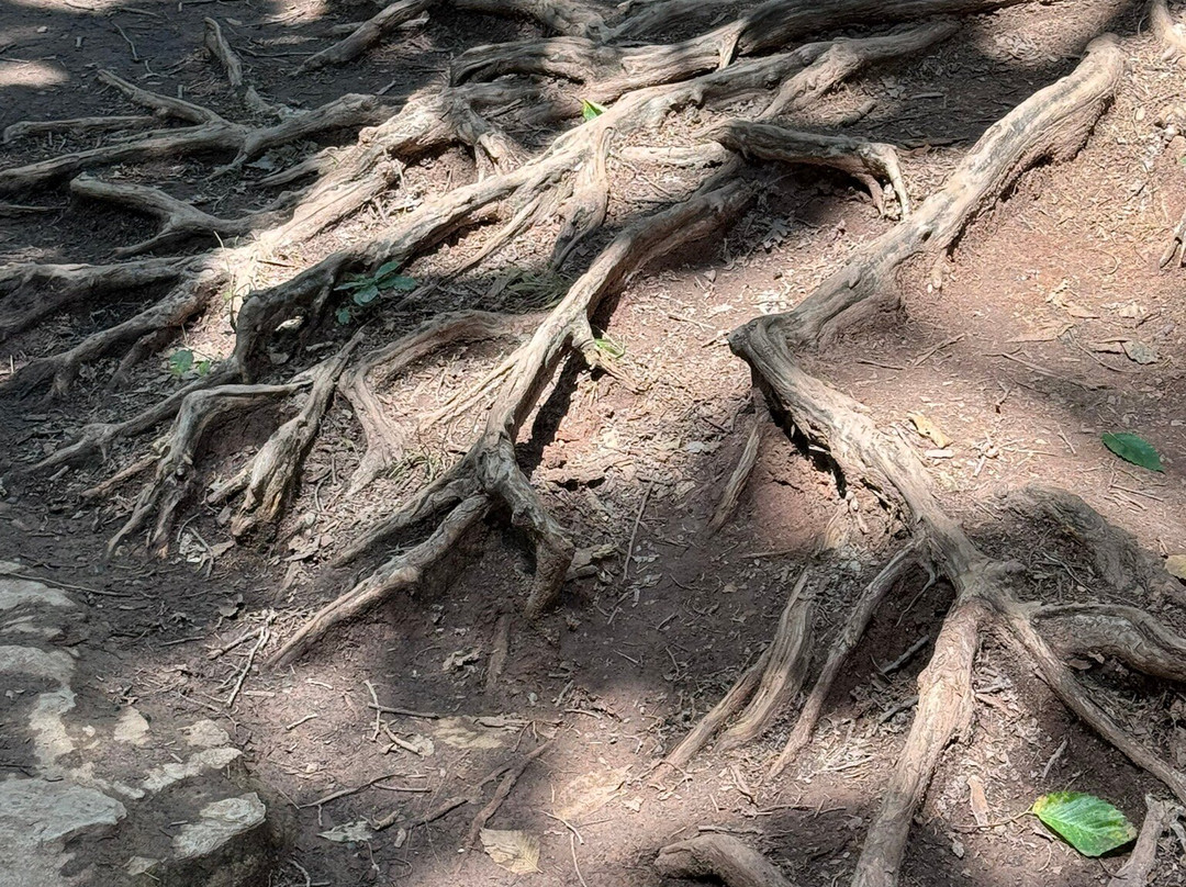 Roman Nose State Park-Watonga必去景点
