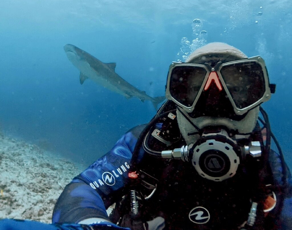 Fuvahmulah Scuba Club主图