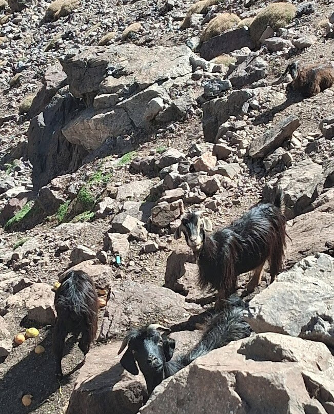 Toubkal National Park-Toubkal必去景点