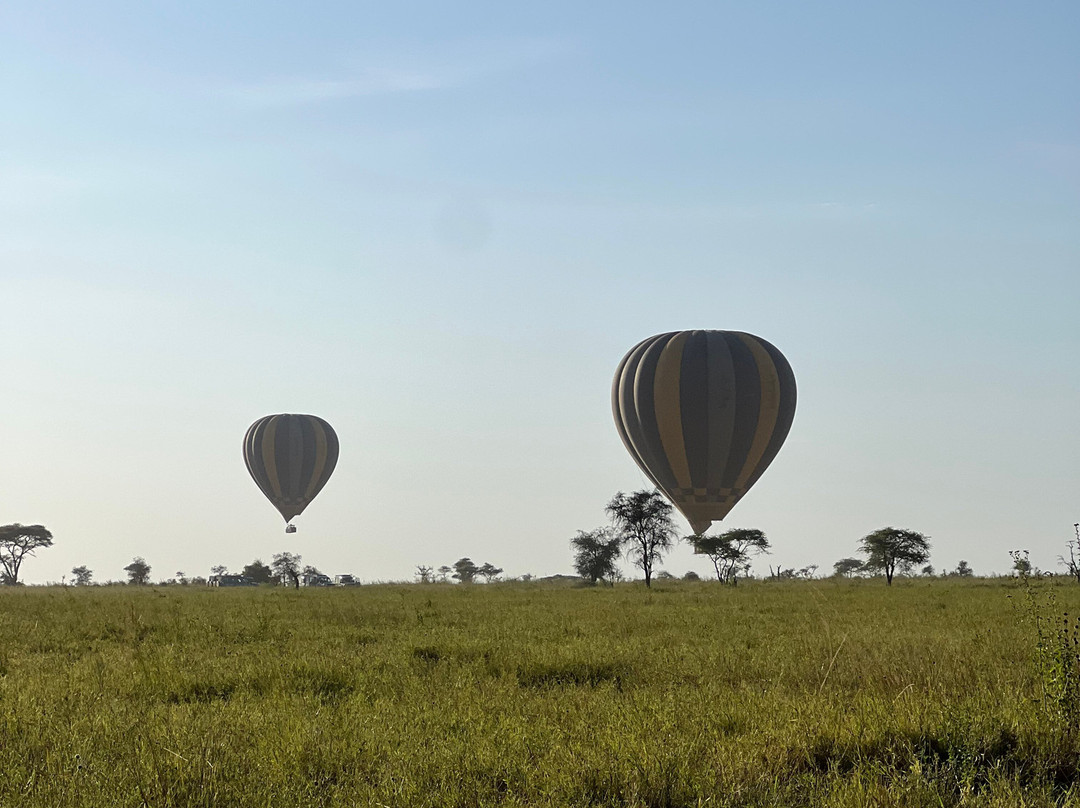 Adventures Aloft Balloon Safari Tanzania-Ikoma必去景点