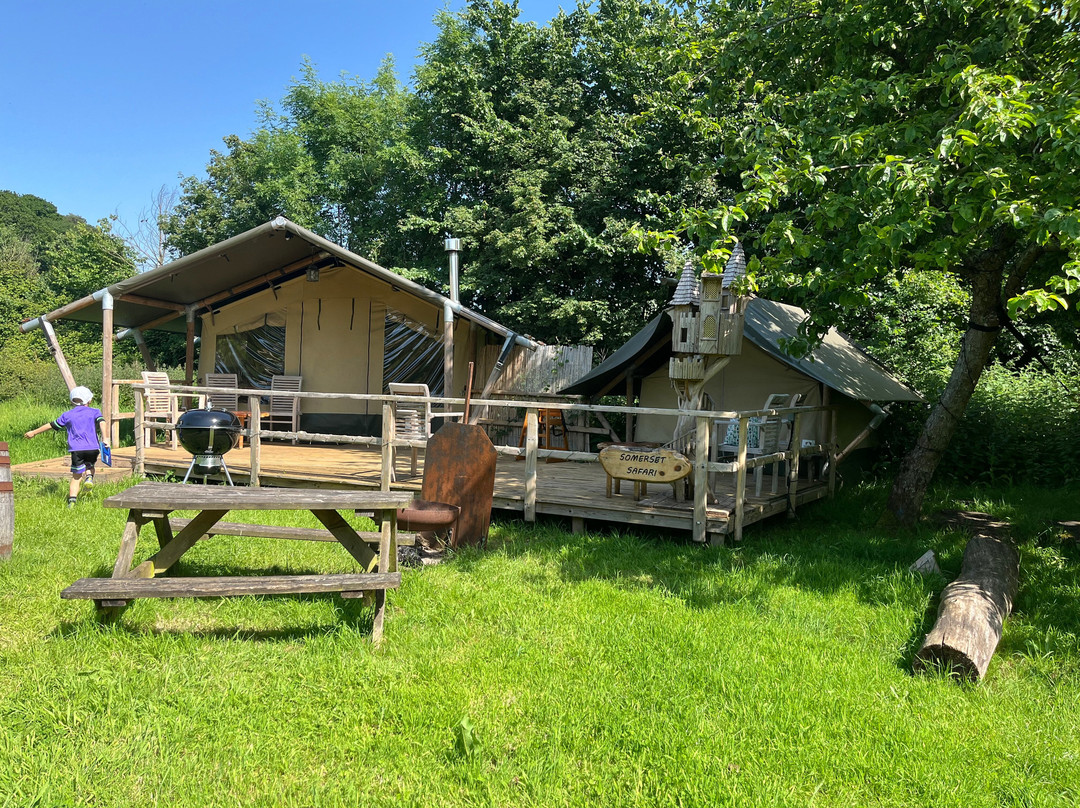 Torre Cider Farm-Washford必去景点