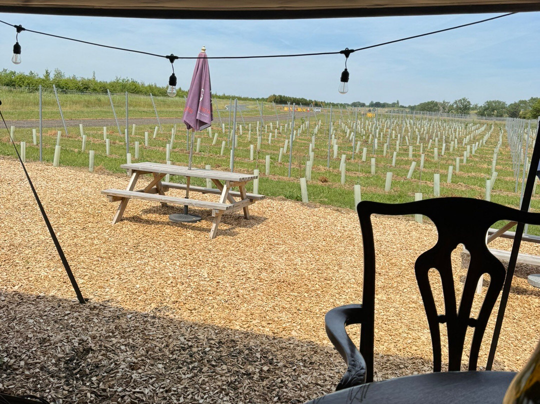 Missing Gate Vineyard-Woodham Ferrers必去景点