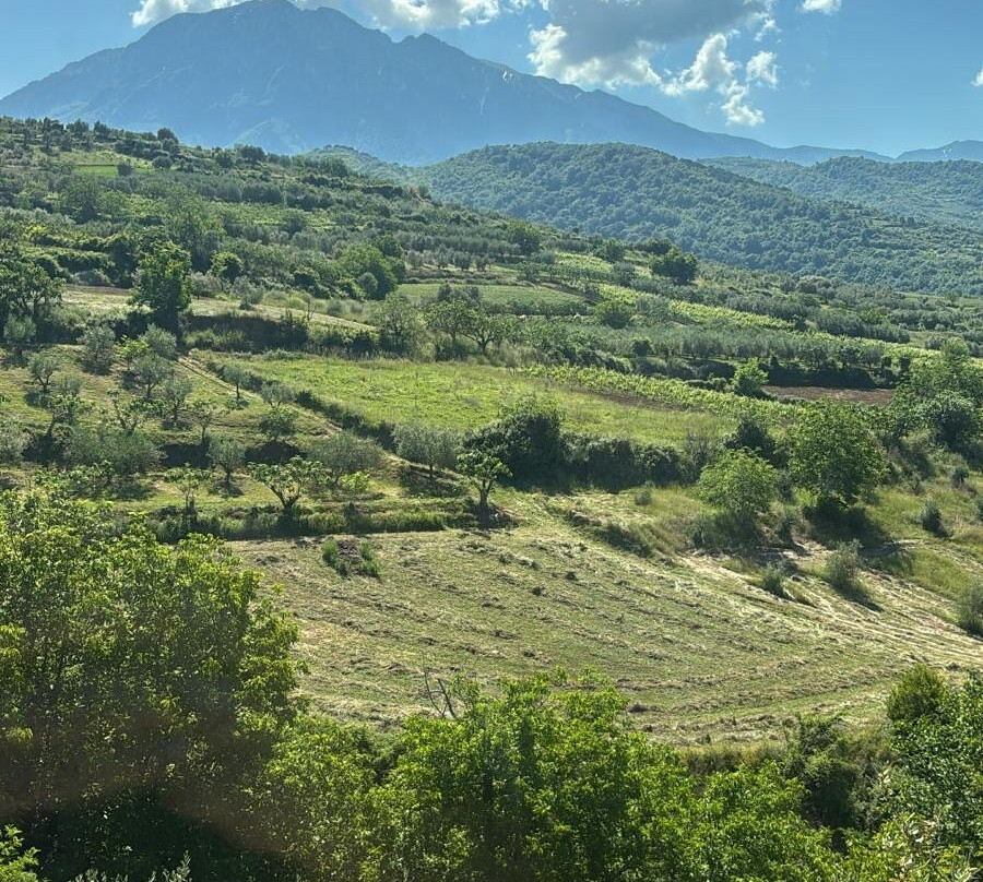 Alpeta Agrotourism & Winery-培拉特必去景点