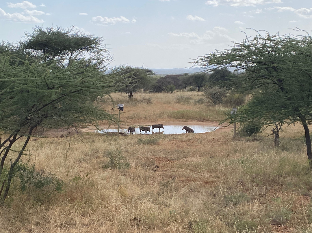 Samburu Sopa Lodge