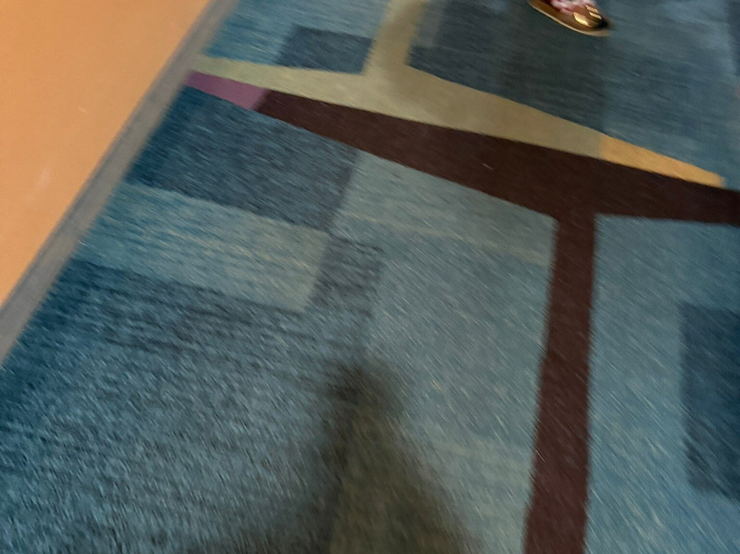 Fairfield Inn & Suites Jacksonville Orange Park主图