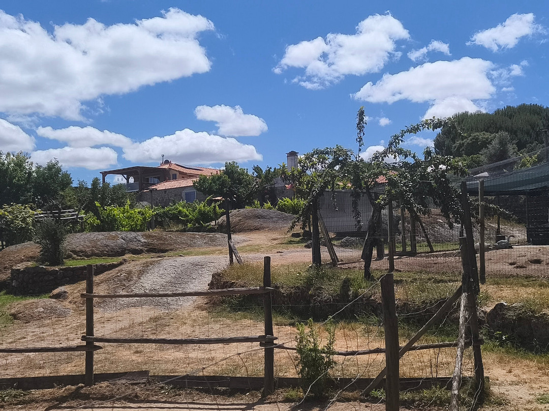 Quinta Dos Corgos主图