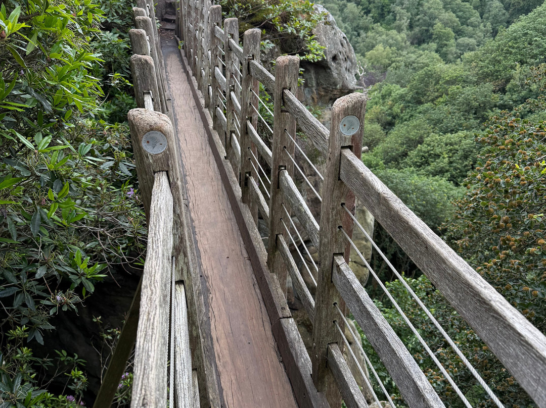 Hawkstone Park Follies-什鲁斯伯里必去景点