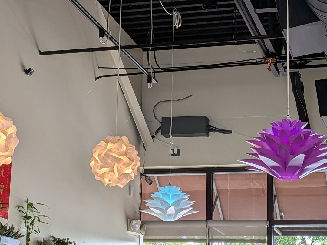 Lotus Moon