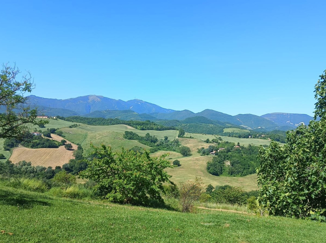 Agriturismo Ca Battista主图