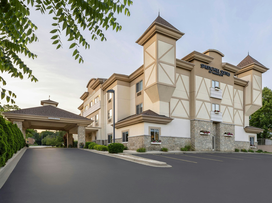 Vassar酒店住宿-SpringHill Suites By Marriott Frankenmuth