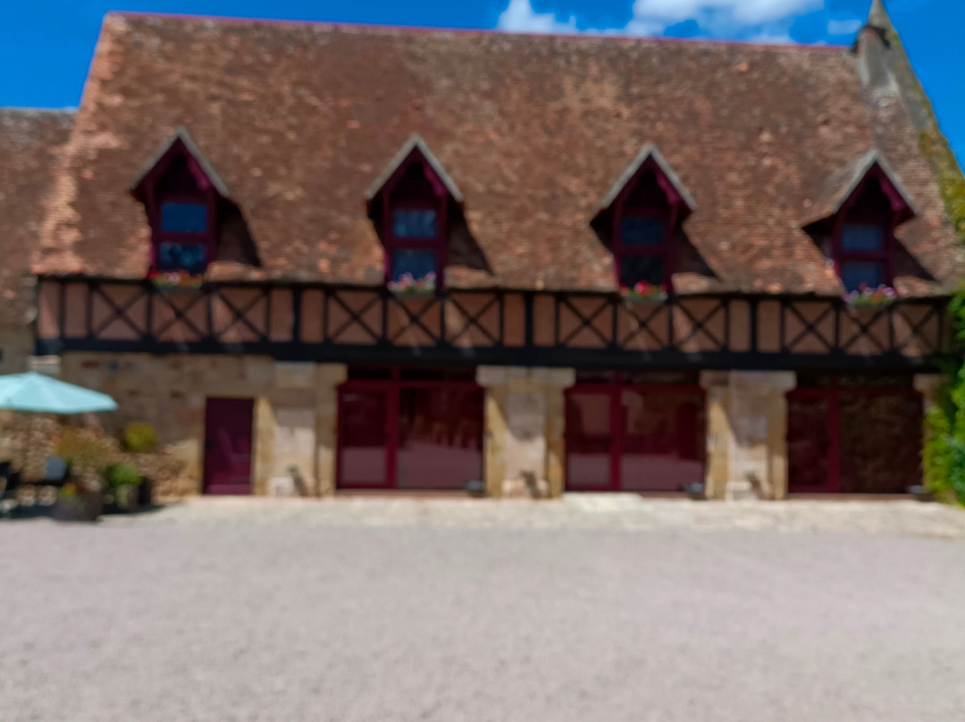 Chateau De Peufeilhoux-Vallon-en-Sully必去景点