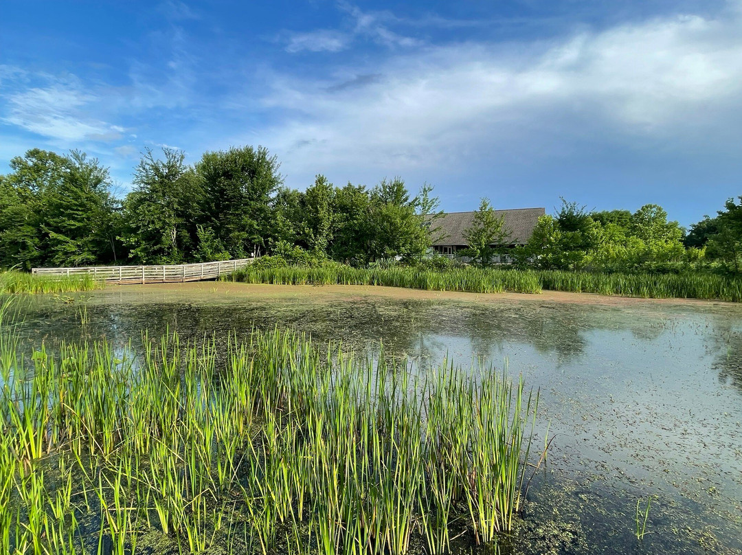 Howell Wetlands-埃文斯维尔必去景点