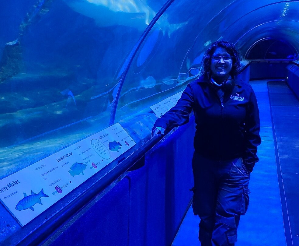 Deep Sea World-北昆斯费里必去景点