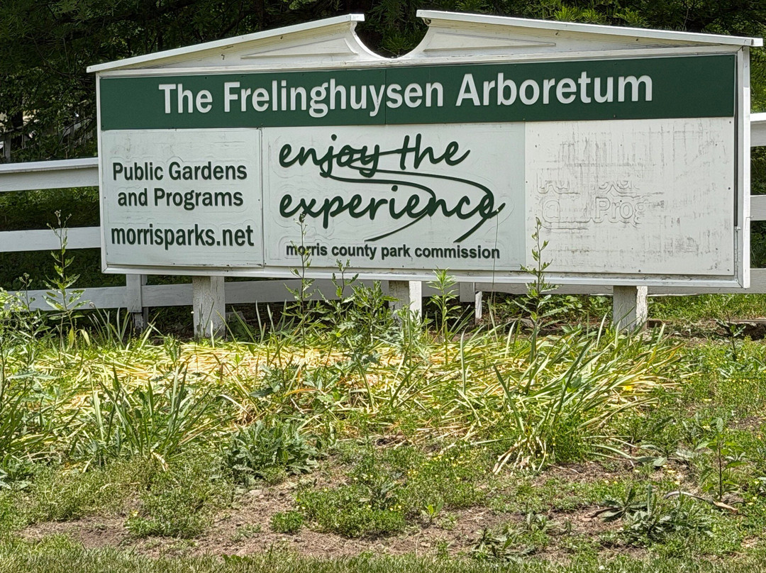 The Frelinghuysen Arboretum-莫里斯敦必去景点