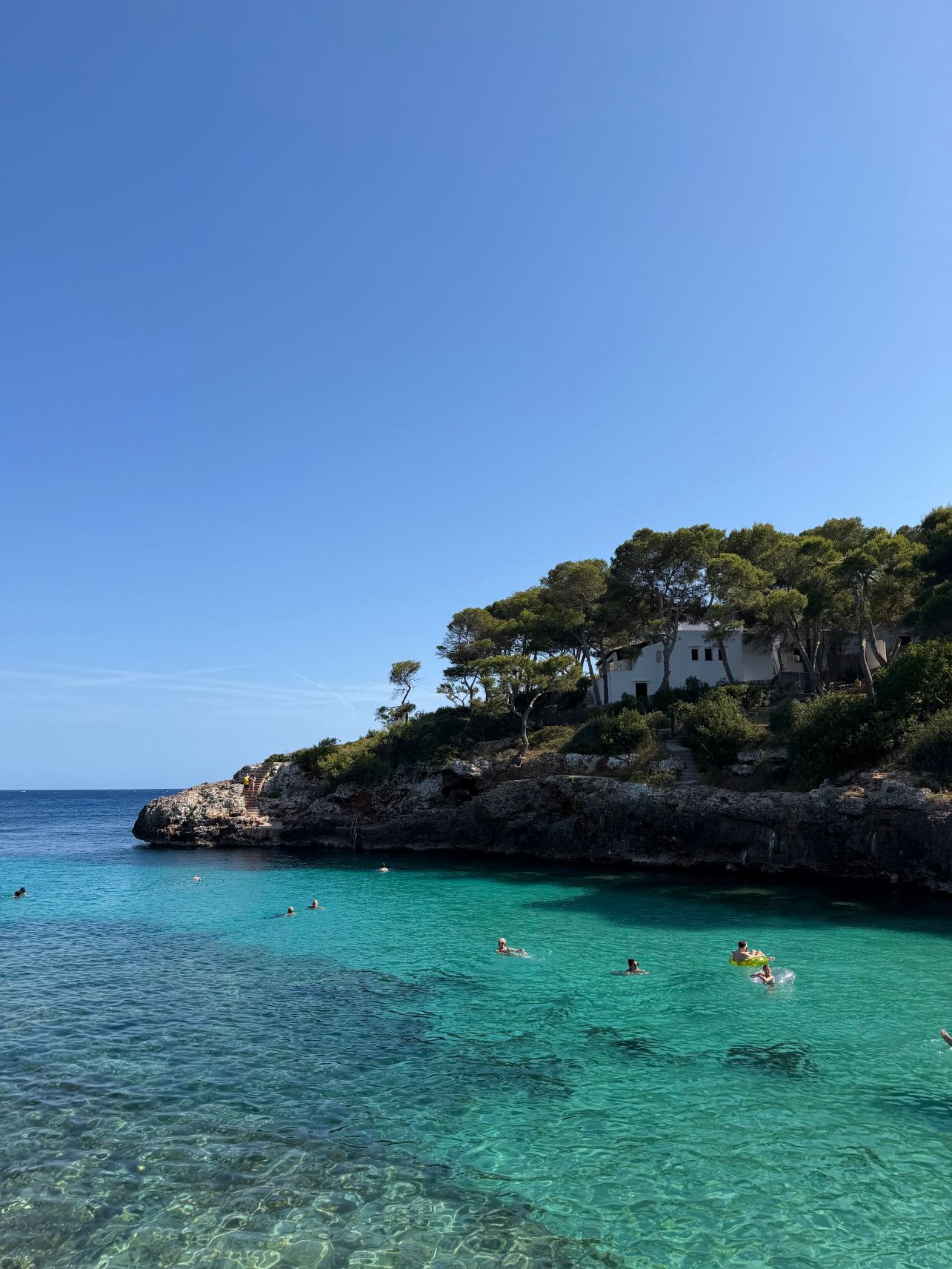 AluaSoul Mallorca Resort - Adults Only-旅行者