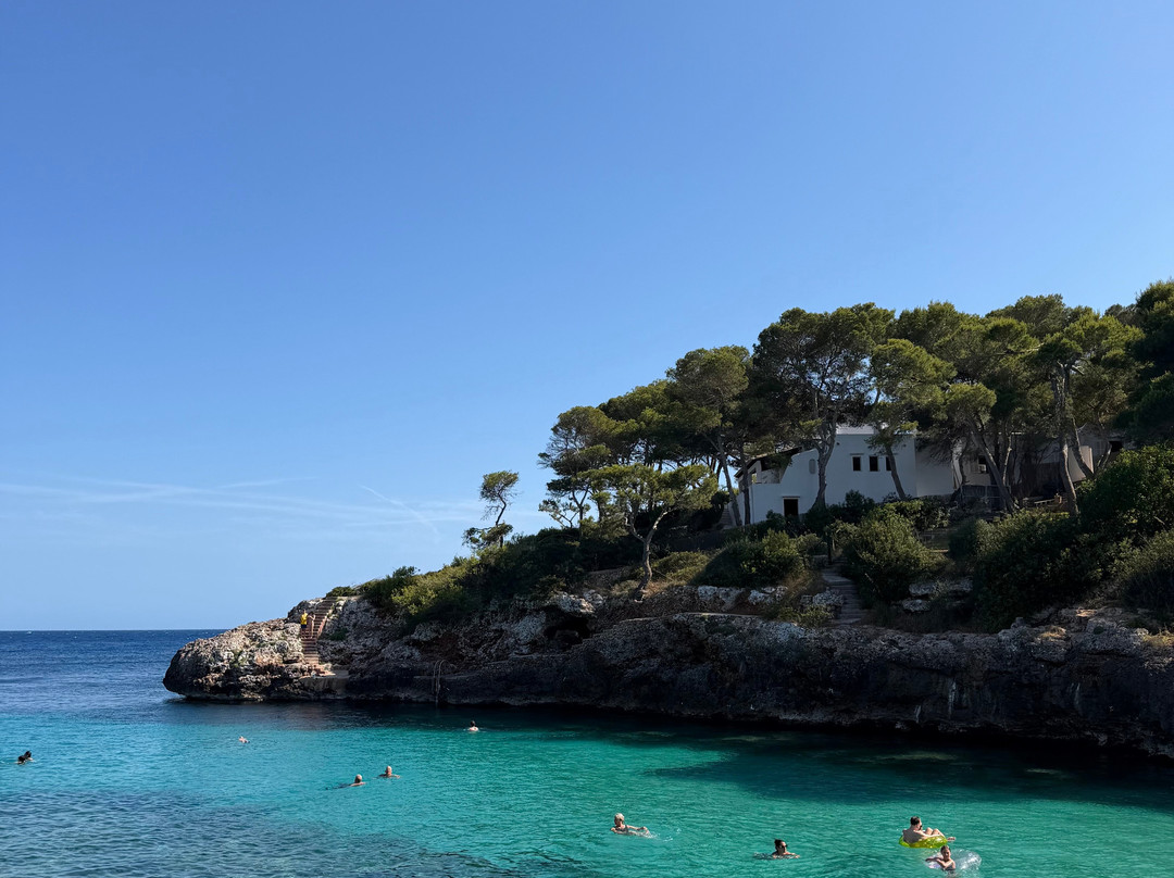 AluaSoul Mallorca Resort - Adults Only主图