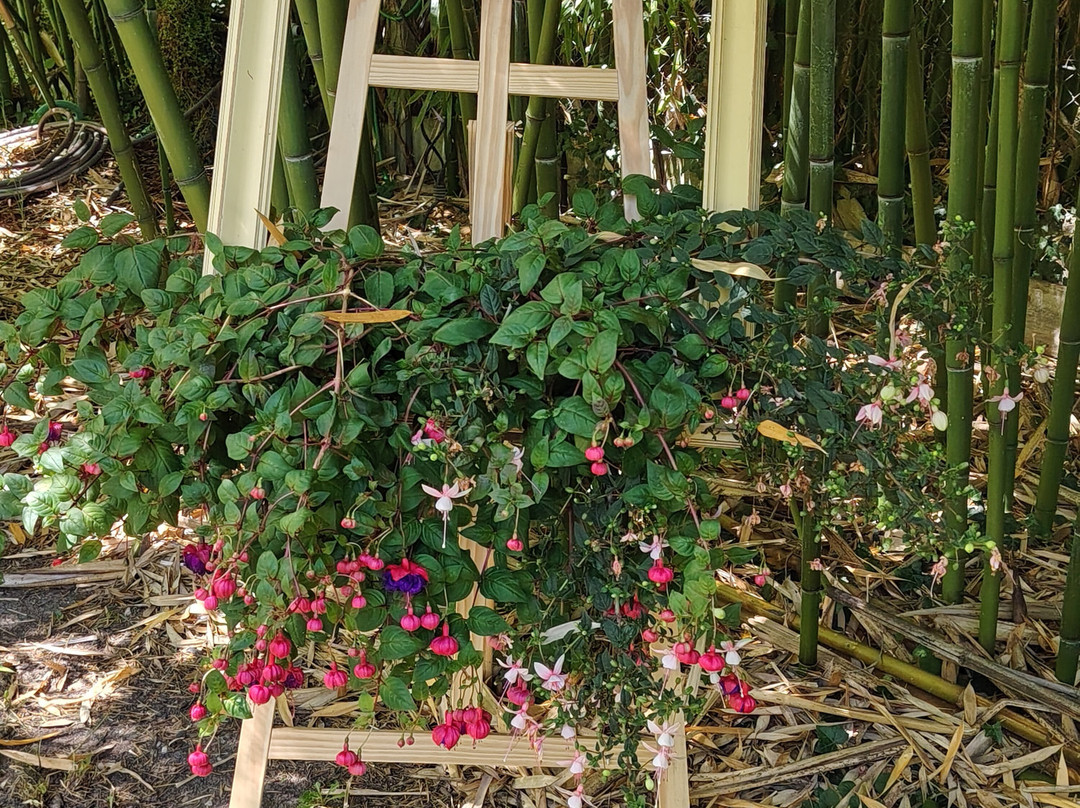 Les Jardins De La Folie Hubert-Meung-sur-Loire必去景点