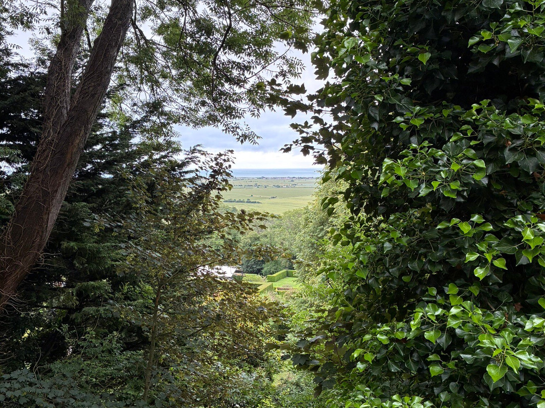 Port Lympne Reserve-Lympne必去景点