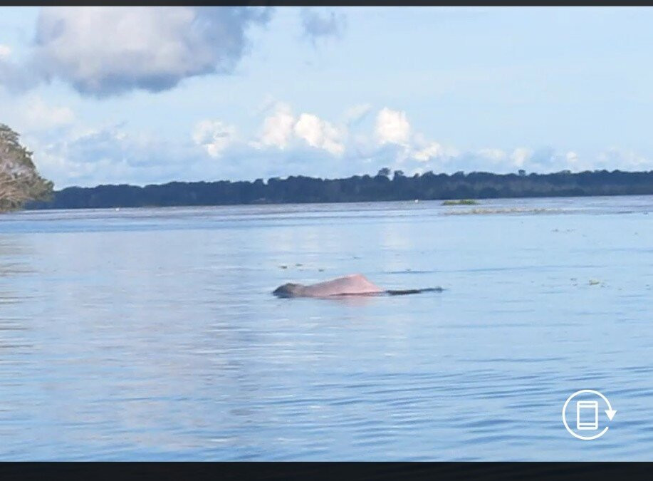 Amaselva Tours - Colombia Amazon-莱蒂西亚必去景点