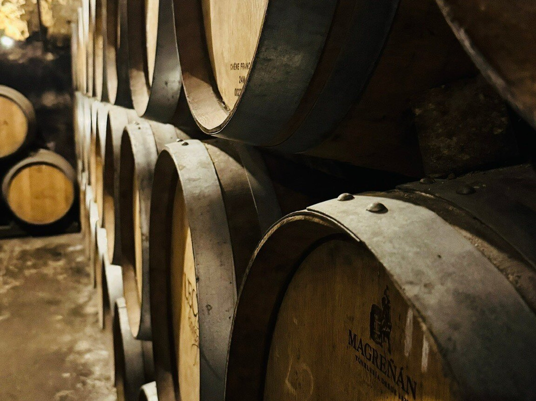 Bodegas Lecea-San Asensio必去景点
