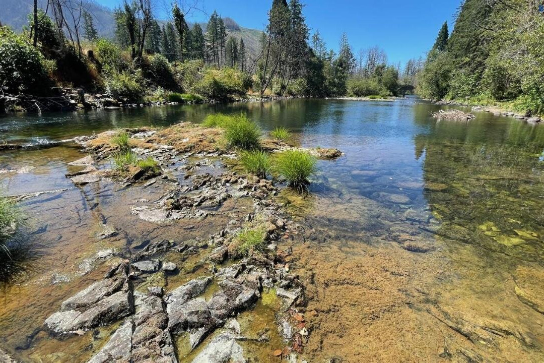 McKenzie River Mountain Resort