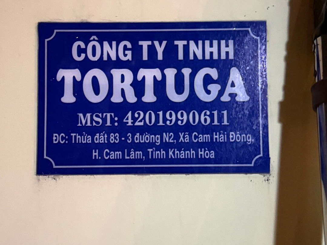 Tortuga Surf Camp-Cam Hai Dong必去景点