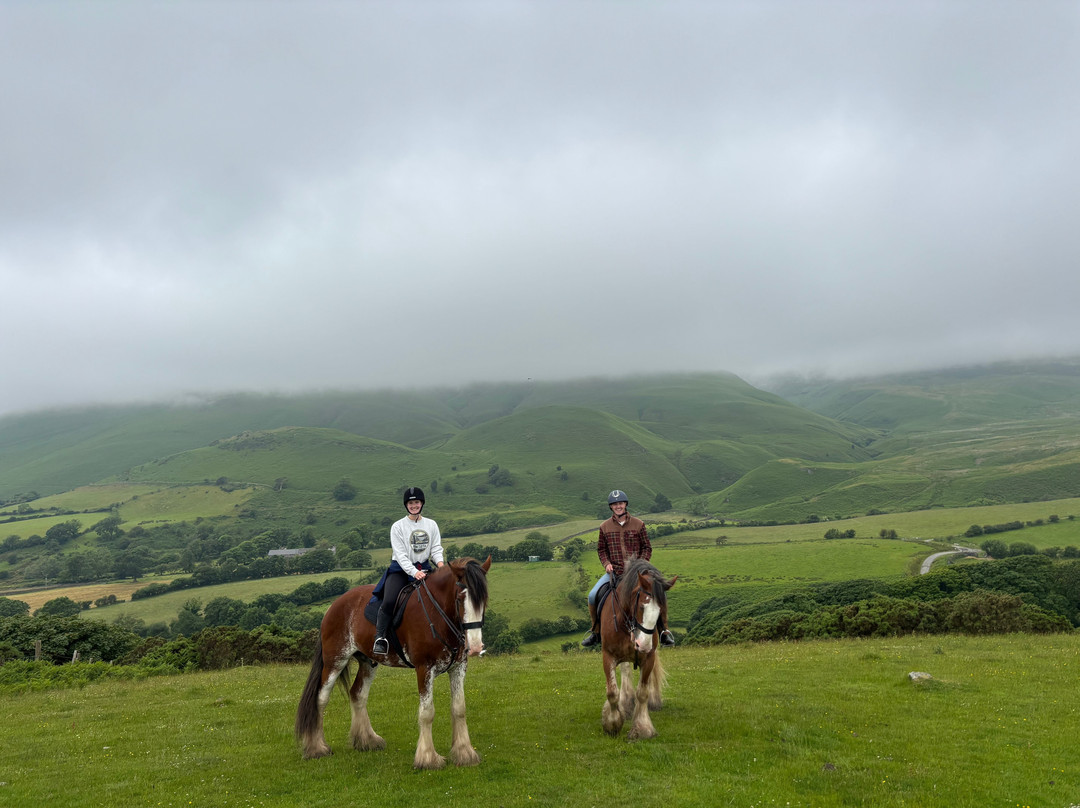 Cumbrian Heavy Horses-Millom必去景点