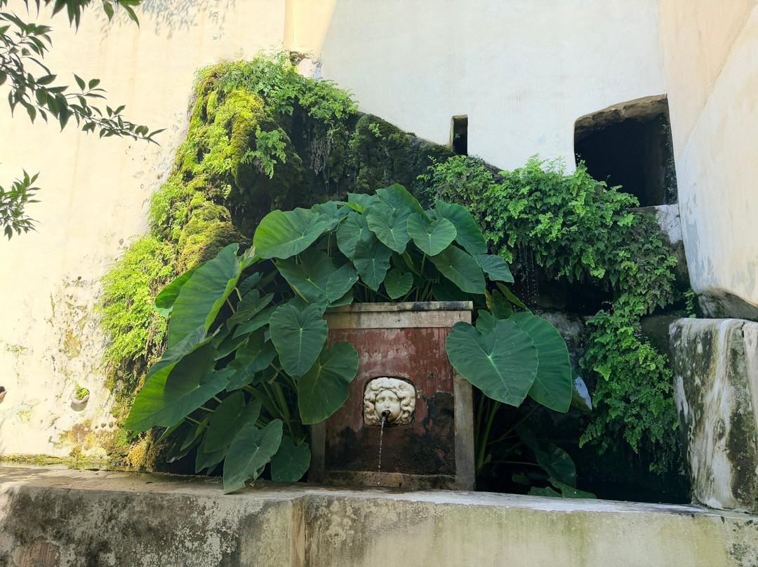Giardino della Minerva-萨勒诺必去景点