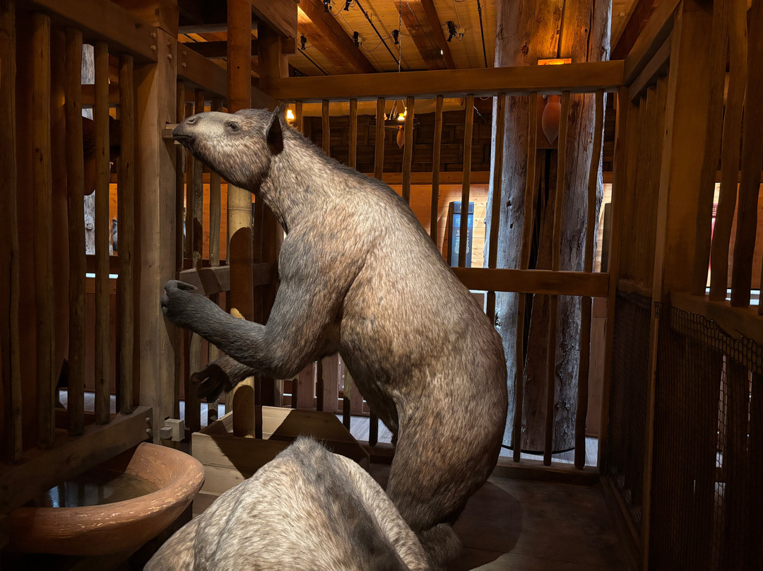 Ark Encounter-Williamstown必去景点