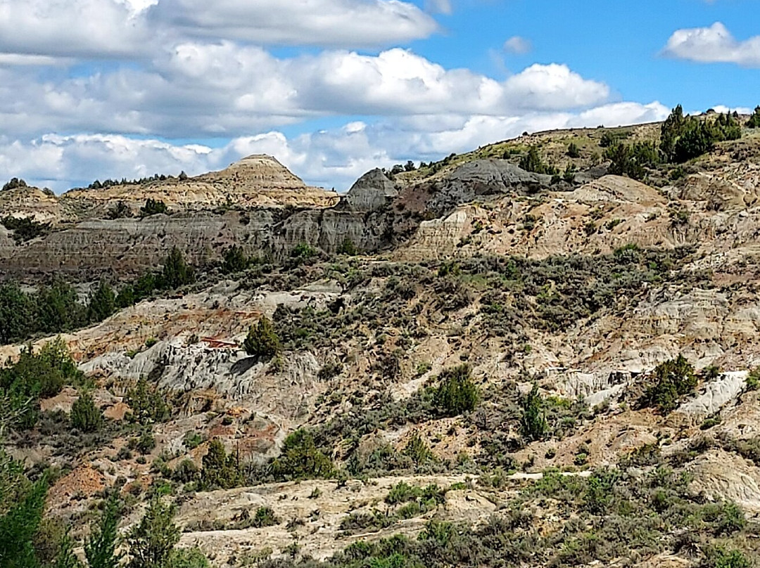 Theodore Roosevelt National Park-Medora必去景点