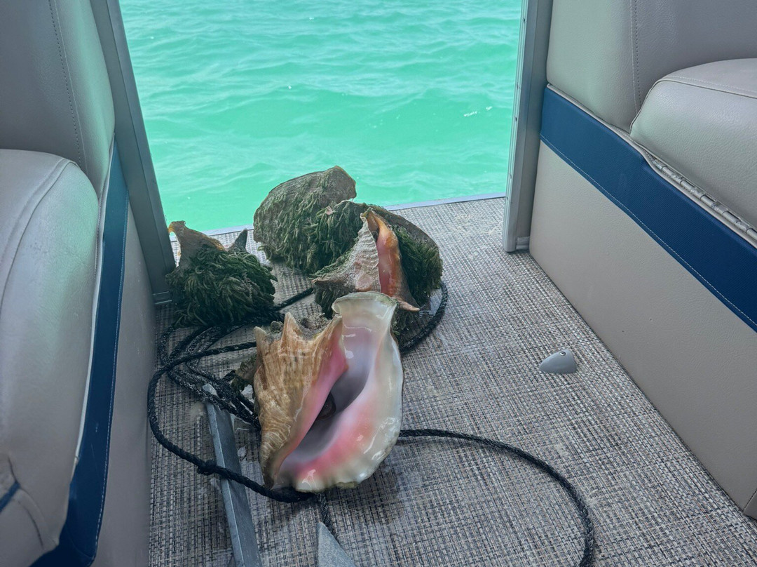 Paradise Luxury Charters-Turtle Cove必去景点