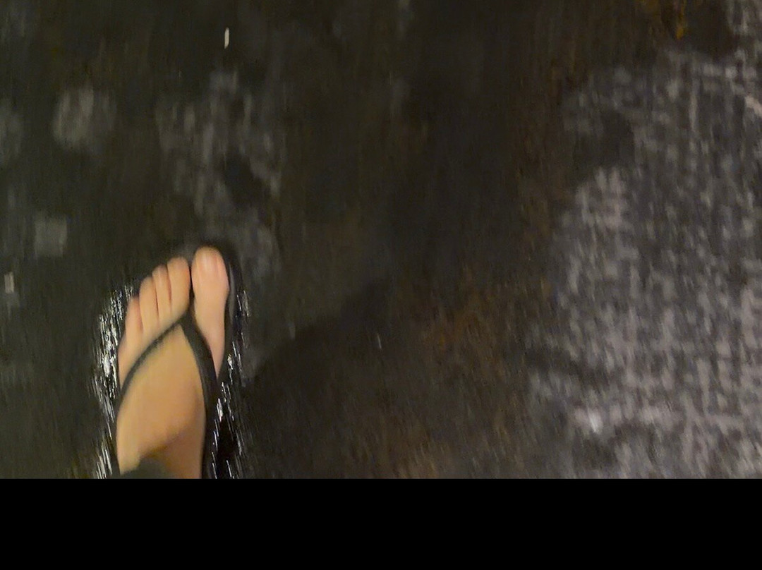 达拉斯/沃斯堡机场万豪酒店