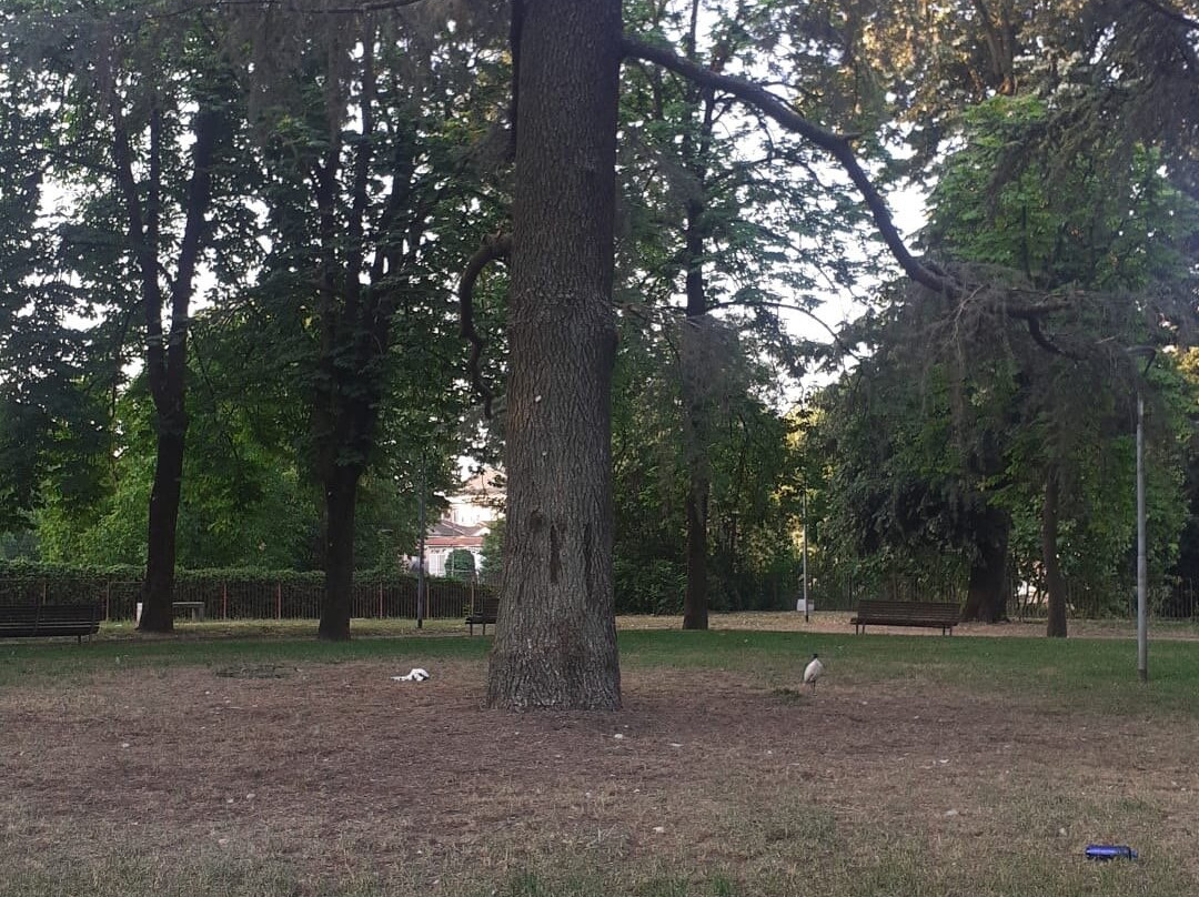Parco Allea San Luca-诺瓦拉必去景点