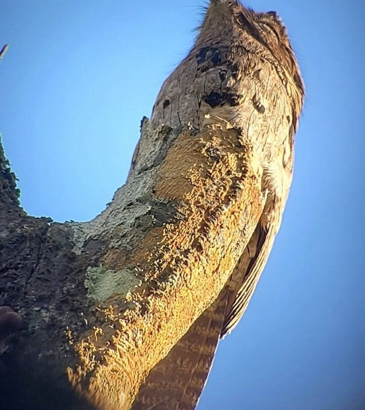 Costa Rica Wild Expeditions-希门尼斯港必去景点