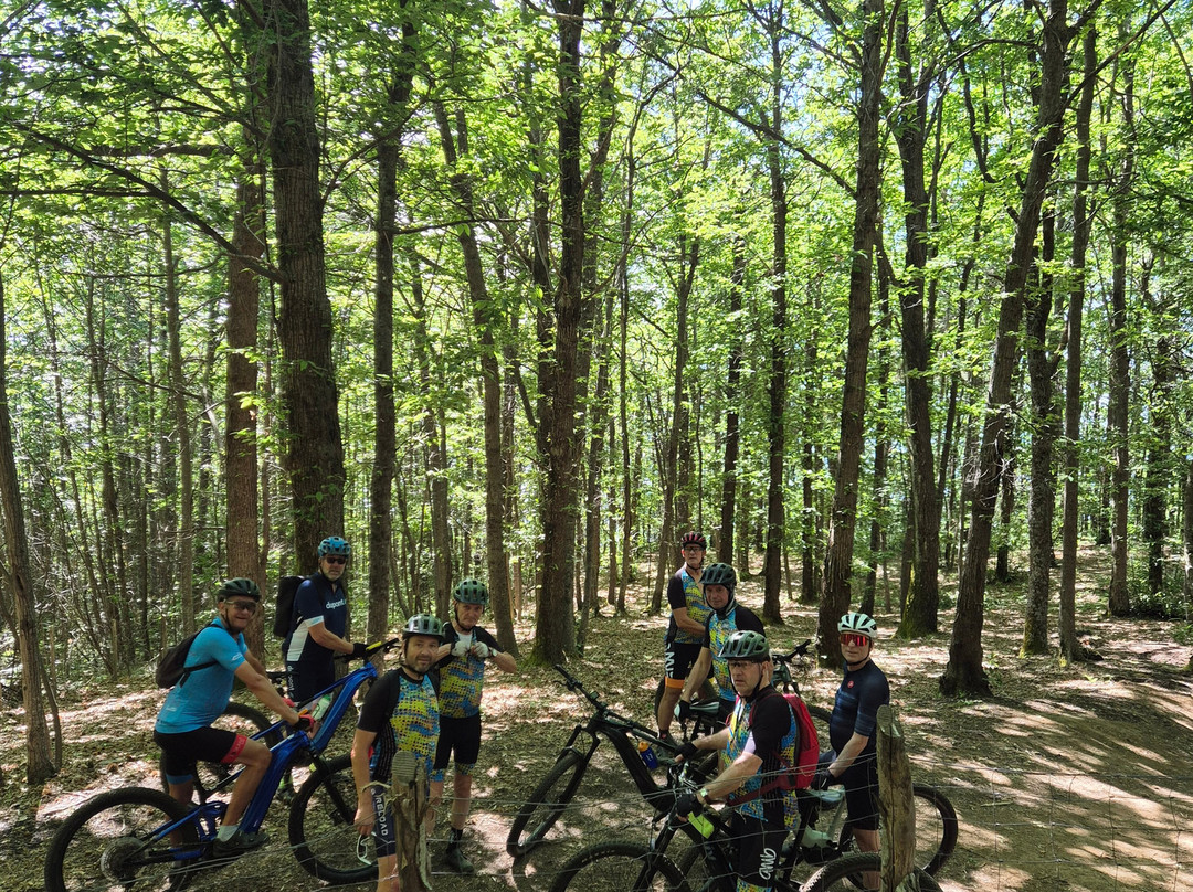 Etna Bike Tours-Milo必去景点