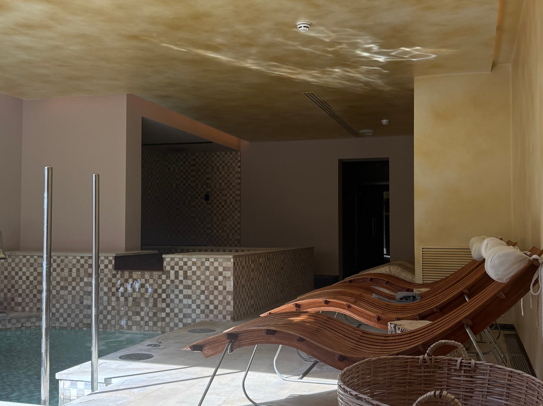 克鲁新小宫殿艺术 Spa 酒店主图