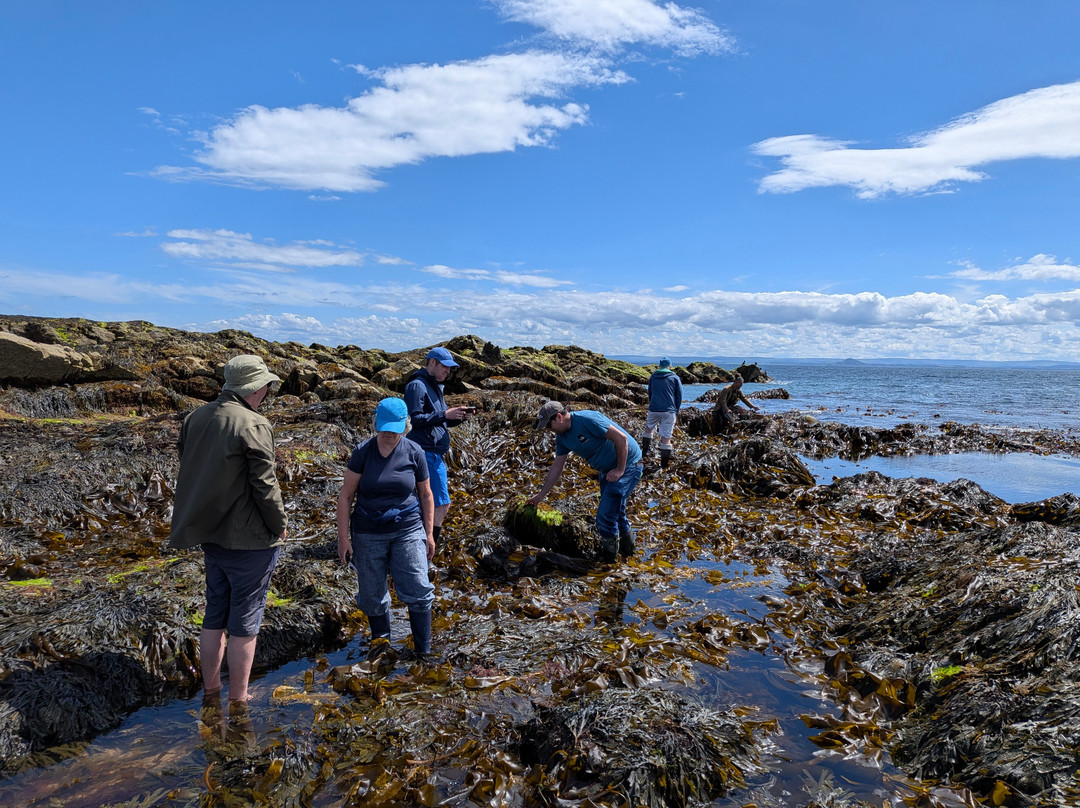East Neuk Seaweed-St Monans必去景点