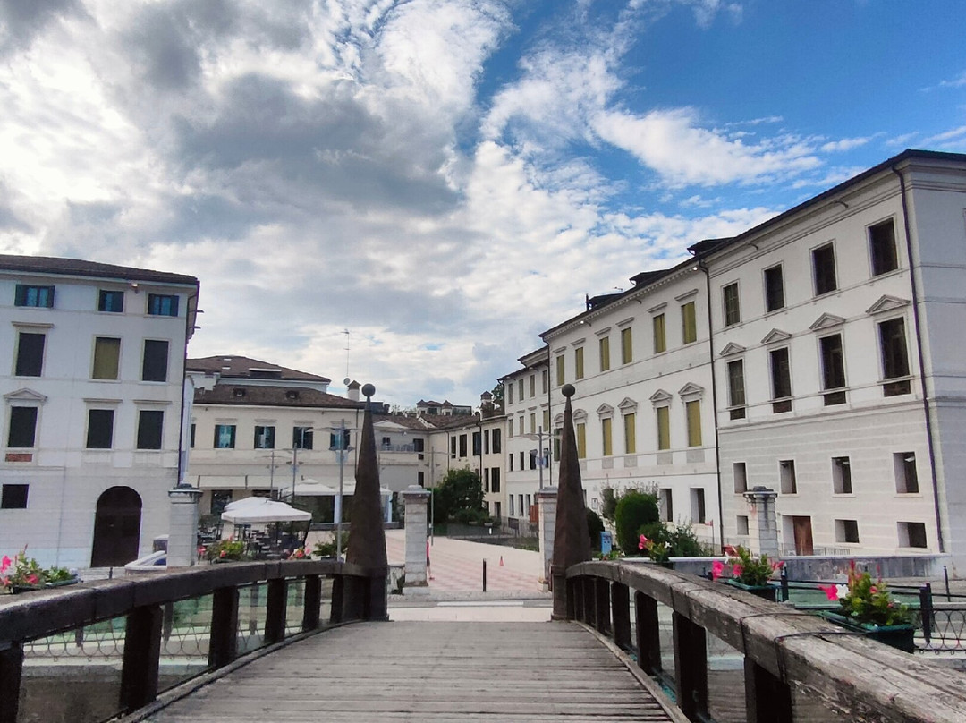 Ponte dell'Università-特雷维索必去景点