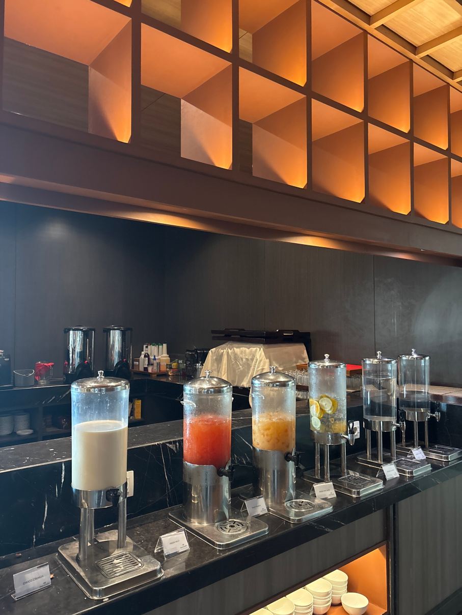 巨港萨提卡高级机场酒店-旅行者