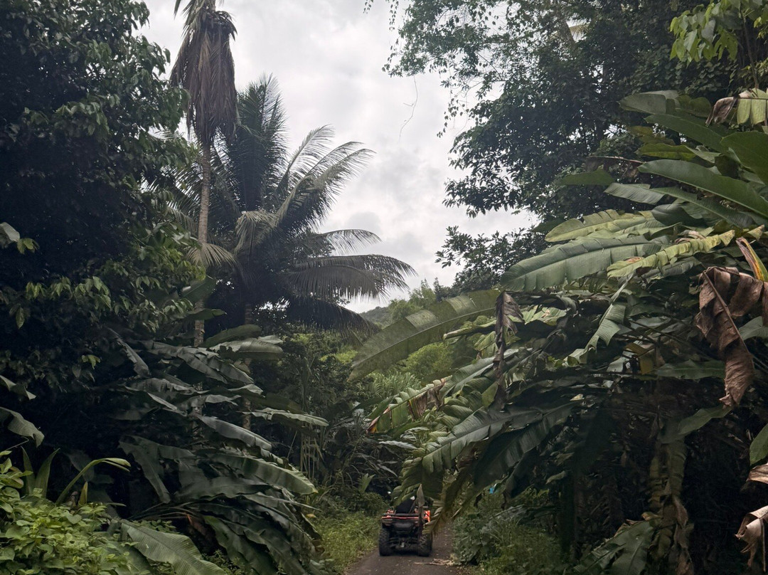 +Venture ATV-玛莉格湾必去景点
