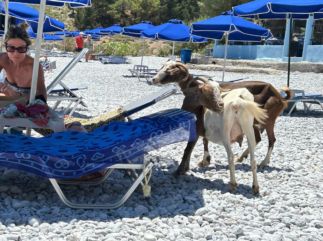 Nanou Beach-Symi必去景点