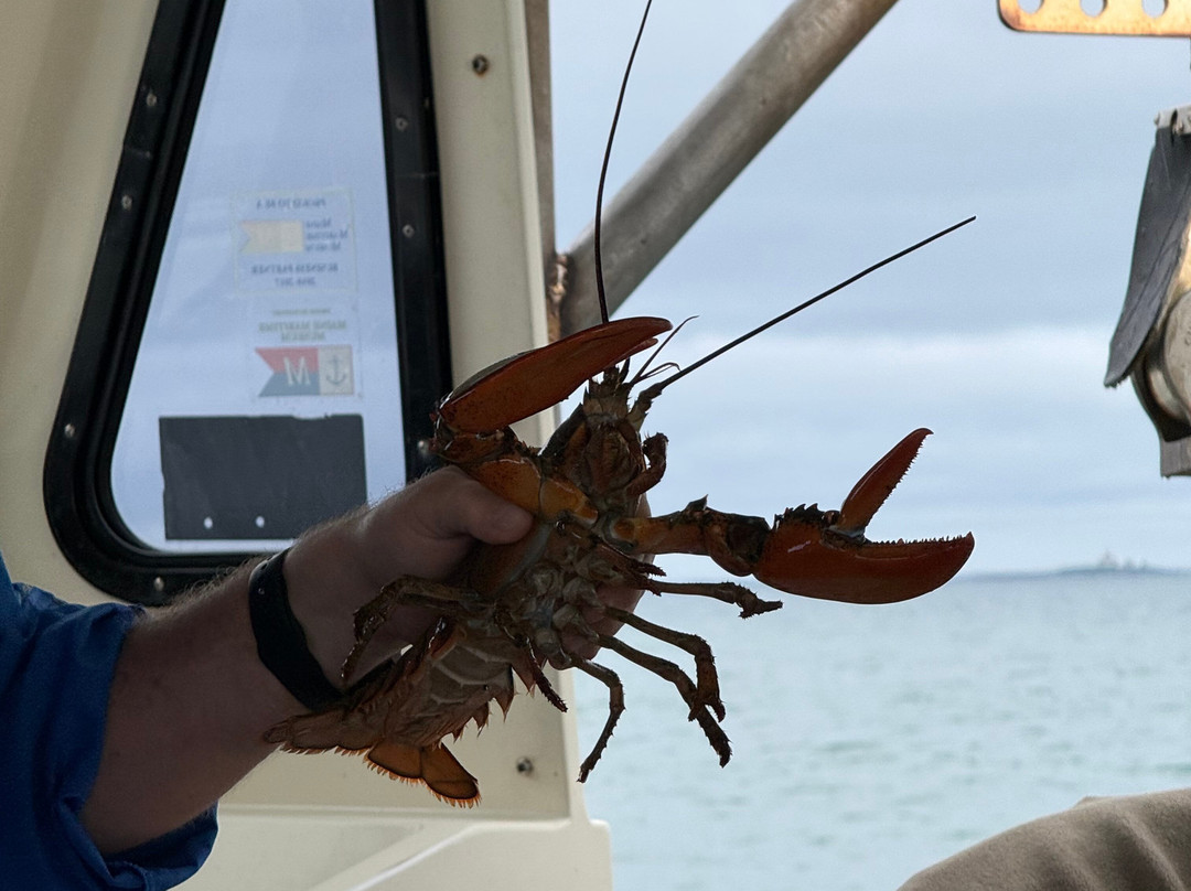 Lulu Lobster Boat-巴港必去景点