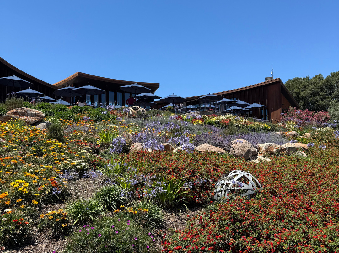 Bouchaine Vineyards - Napa Valley-纳帕必去景点