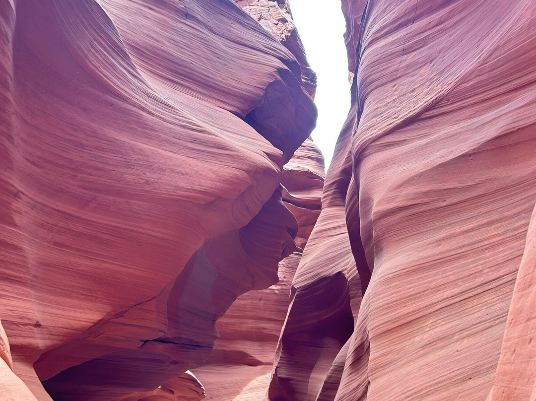 Antelope Canyon X By Taadidiin Tours-佩吉必去景点