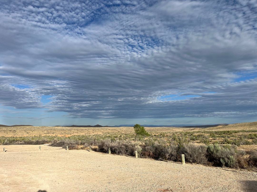Red Gulch Dinosaur Tracksite-Greybull必去景点