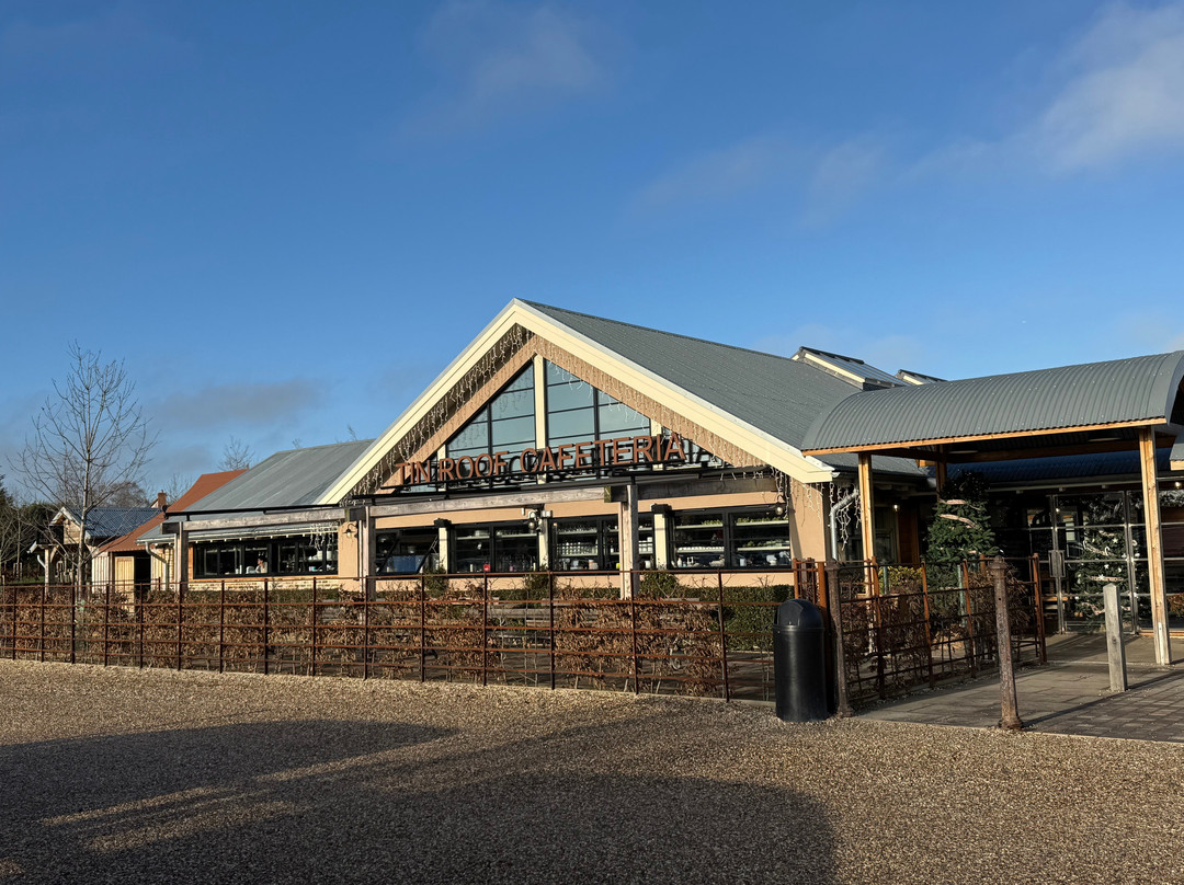 Tin Roof Cafeteria and Bakery