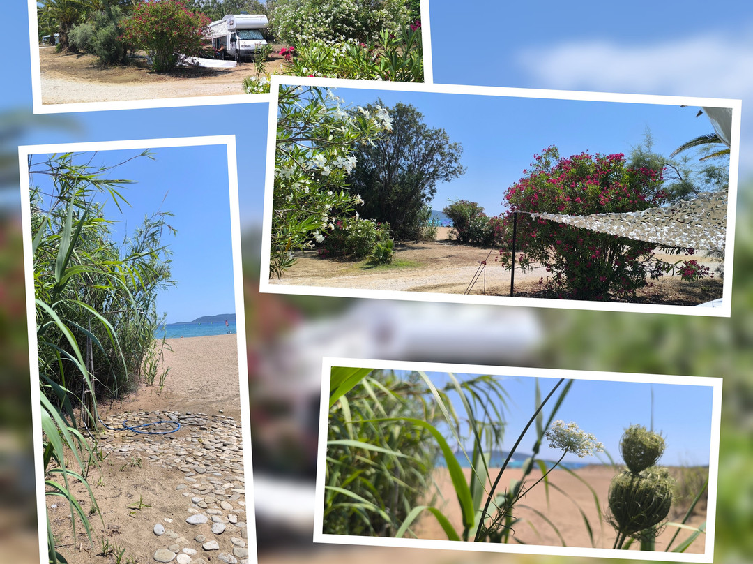 Camping Ammos