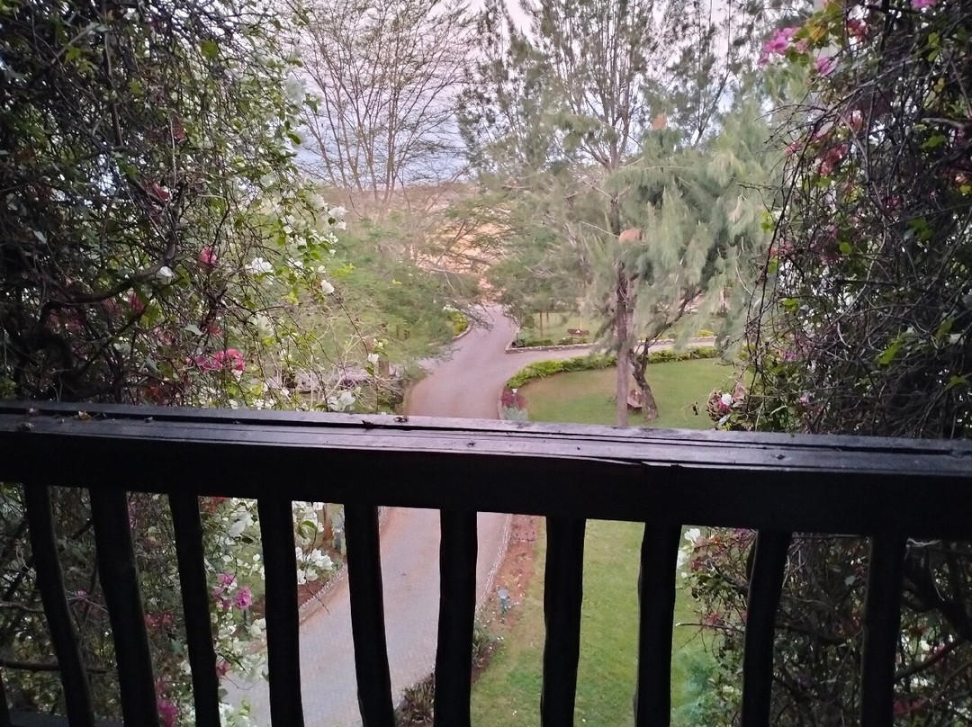 泰塔山游猎度假村及小屋主图