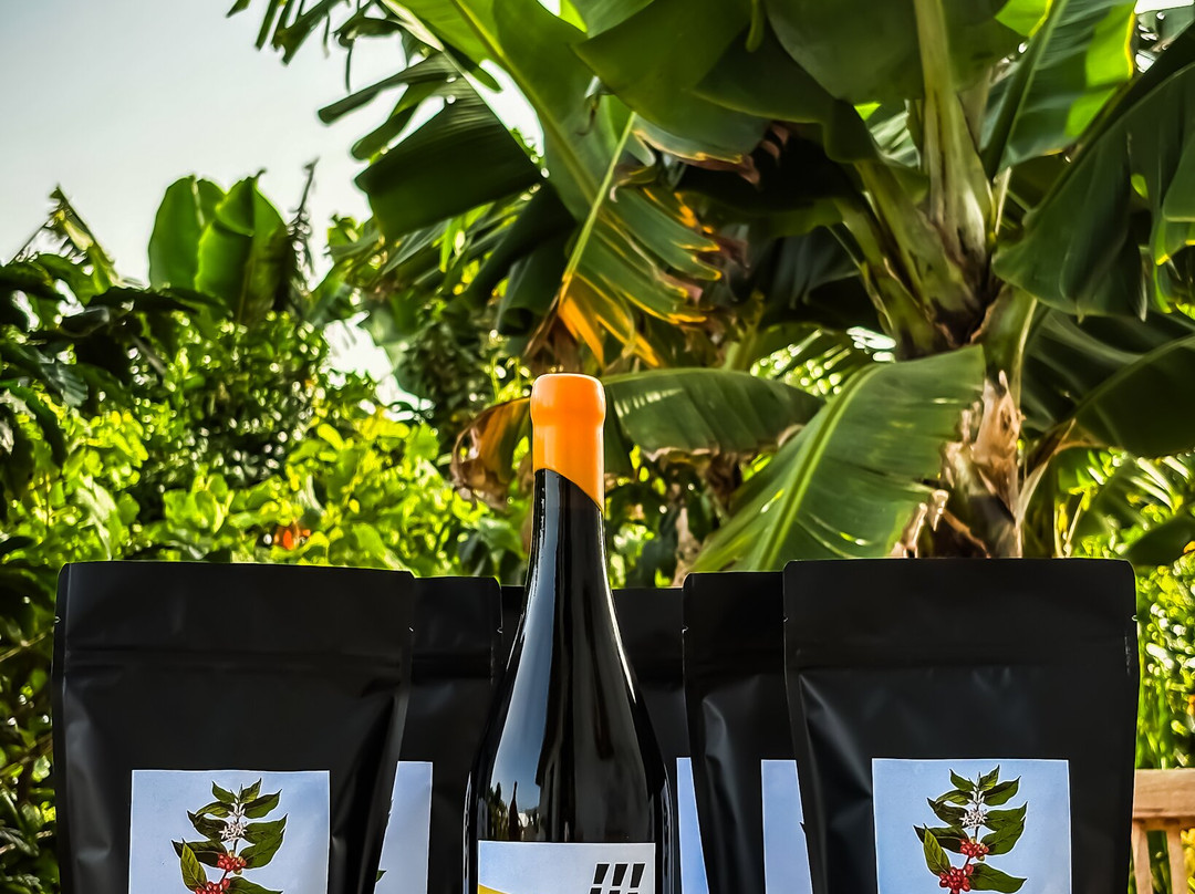 Bodega Finca Marañuela-La Orotava必去景点
