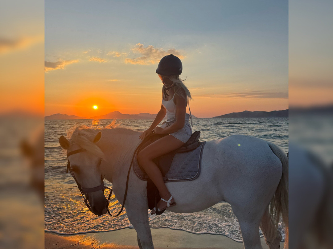 Erika's Horse Farm Kos-Marmari必去景点